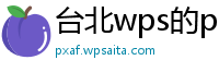 台北wps的pc端是指什么